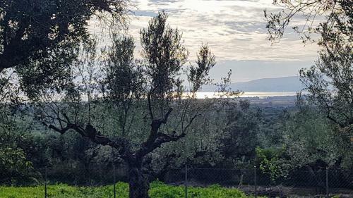 Villa Georgia Kalamata