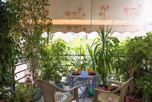 Apartamento Palina's Comfy Home.