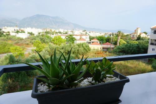 Apartamento Allseasonsapartment
