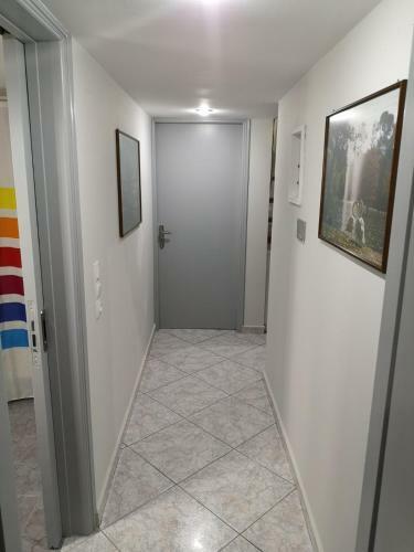 Panos & Antzy Apartments