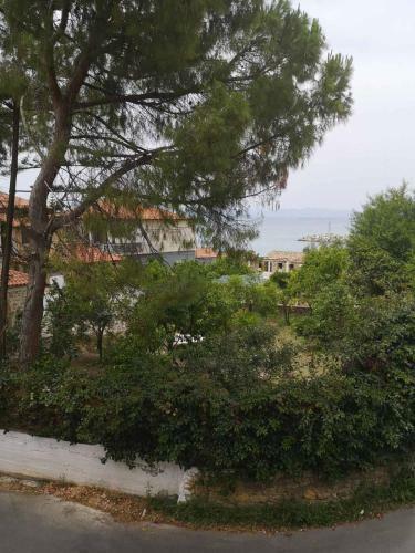 Panos & Antzy Apartments
