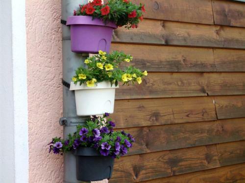 Apartamentos Am Erxleben-hotel