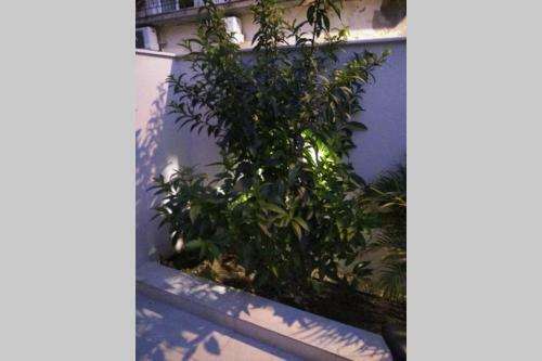 Apartamento Arxontia 1