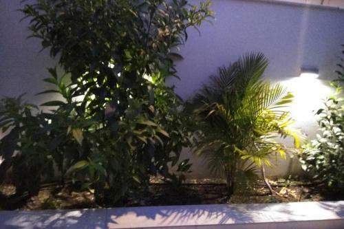 Apartamento Arxontia 1