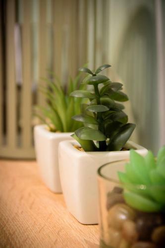 Apartamento Casa Minima