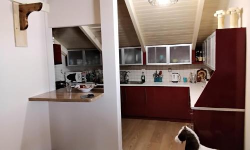 ????? Apartment