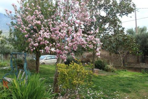 Apartamento Magnolia House