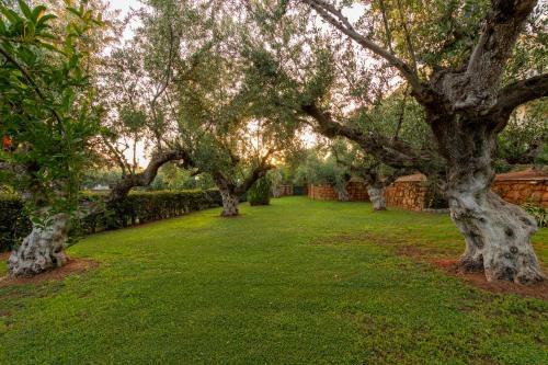 Villa Olive Park