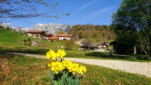 Apartamento Haus Am Kurpark, Ferienwohnung Z�rner