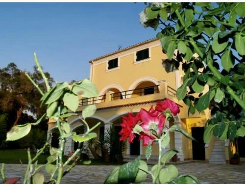 Pangea Corfu Apartments
