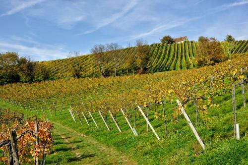 Hostal Weingut Und G�stezimmer Zirngast