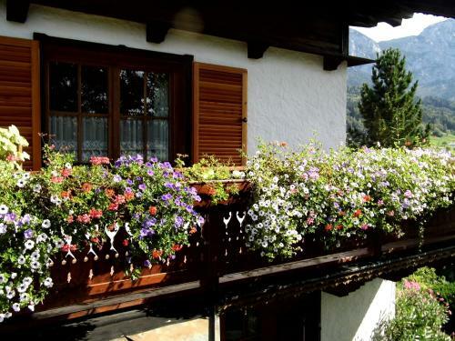 Agroturismo Biohof Schwanser