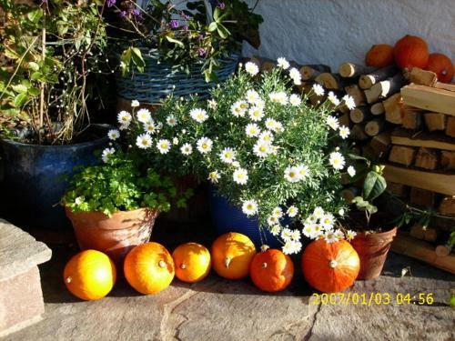 Agroturismo Biohof Schwanser
