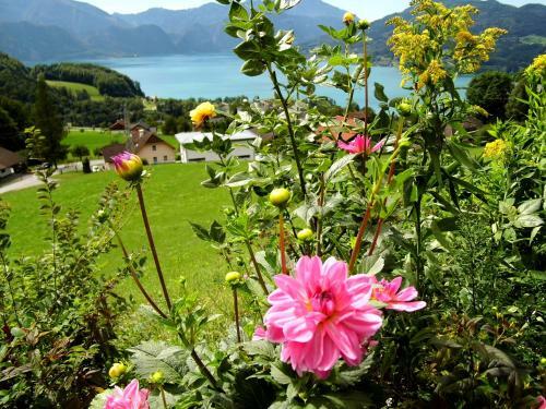 Agroturismo Biohof Schwanser