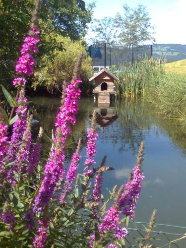 Agroturismo Biohof Schwanser