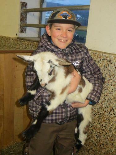 Agroturismo Biohof Schwanser