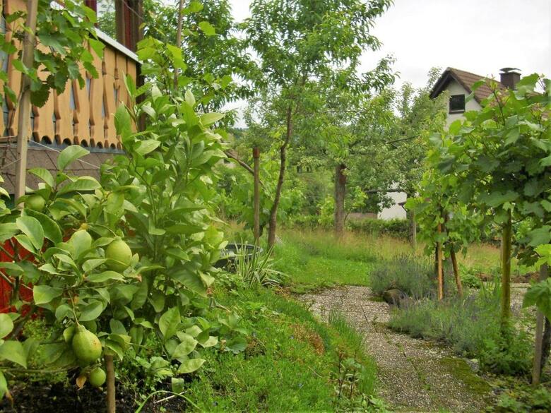 Apartamento Wannenhof I