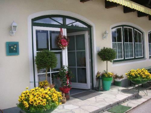 Hostal Pension Bayrhammer