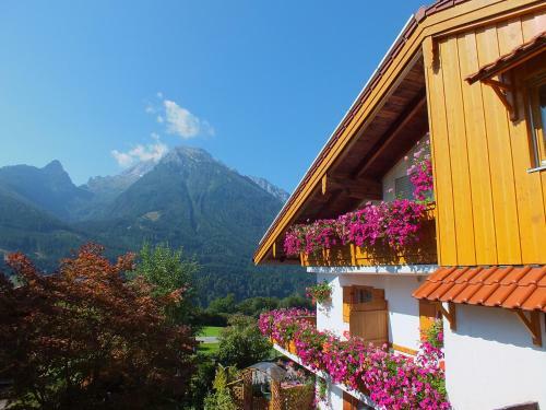 Apartamento G�stehaus Amort Ferienwohnung