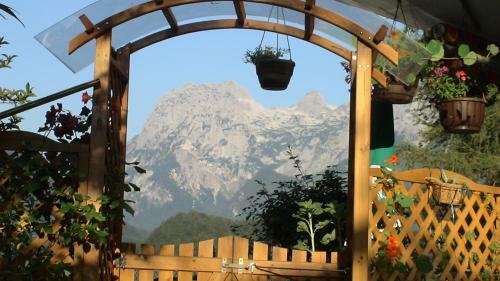 Apartamento G�stehaus Amort Ferienwohnung