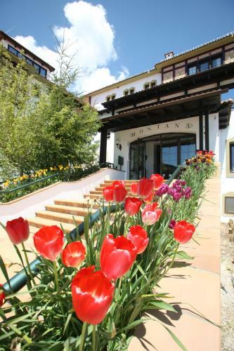 Hotel Spa Montana