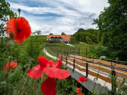 Bed & Breakfast Attila Birtok