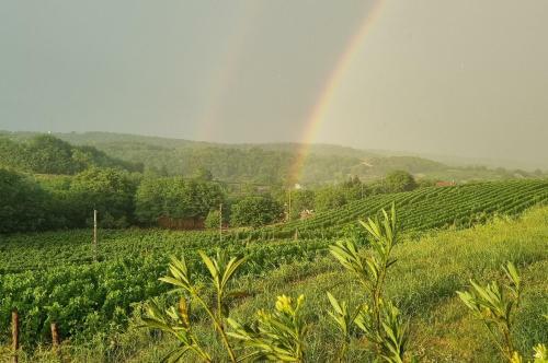 Bed & Breakfast Attila Birtok
