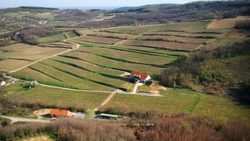 Bed & Breakfast Attila Birtok