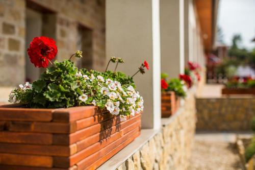 Hostal Bakony-cinca Vend�gh�z