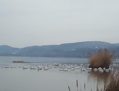 Apartamento Your Home In Kastoria