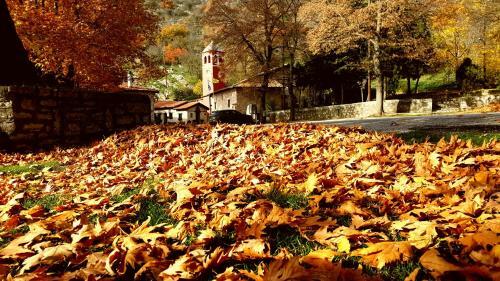 Apartamento Your Home In Kastoria