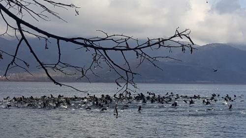 Apartamento Your Home In Kastoria