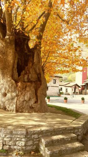 Apartamento Your Home In Kastoria