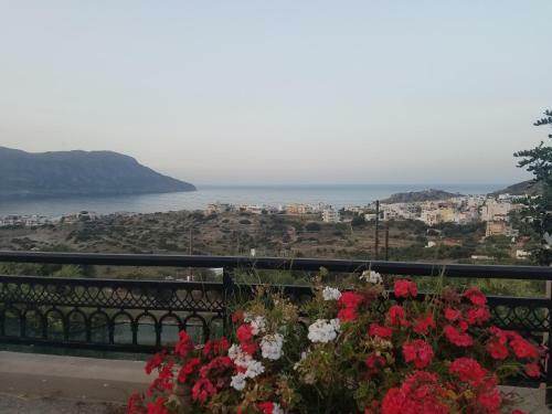 Apartamento Damatria Studio