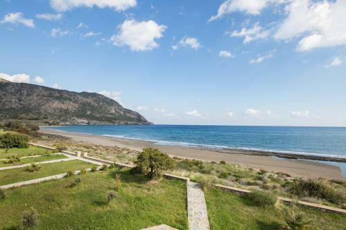Beachfront Apartments