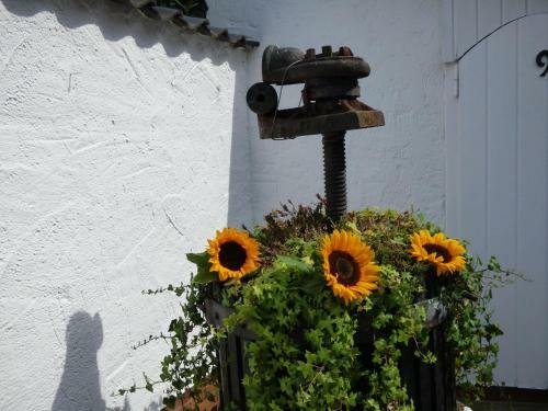 Relaxen Im Alten Winzerhaus