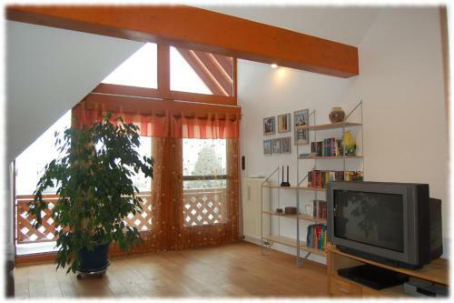 Apartamentos Ferienwohnung Hunsr�ck