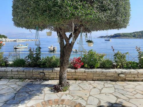 Imerolia Beach Villa Kassiopi Corfu