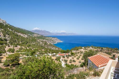 Katodio Dream View