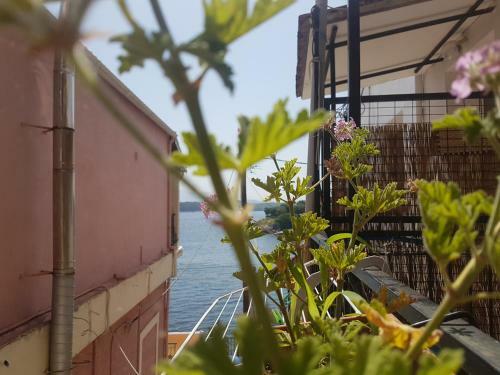 Apartamento Bayside House