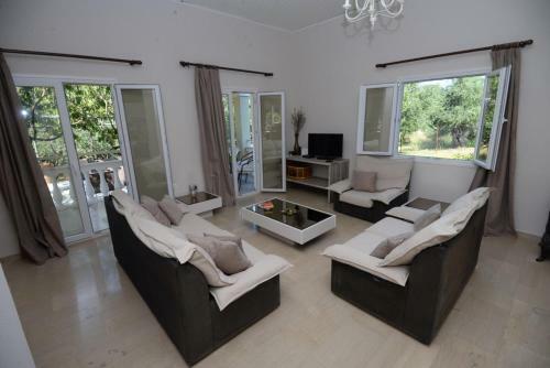 The Olive Grove House