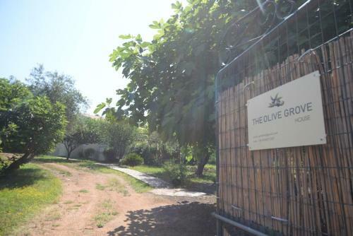 The Olive Grove House