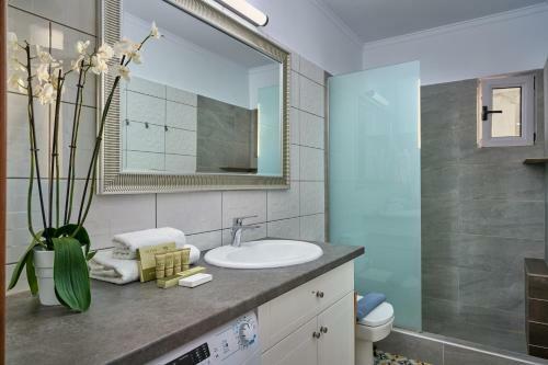 Apartamento Al Centro Pigadia-althea Homes