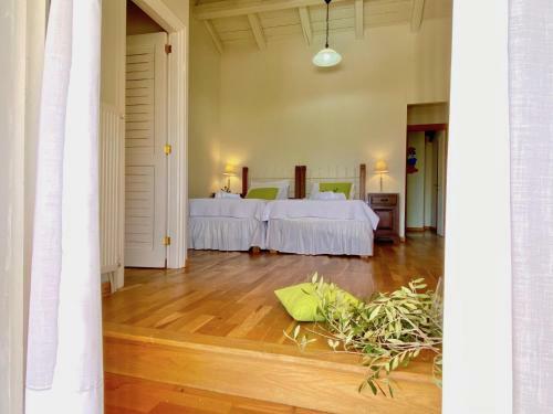 Beach Villa Petros With Private Pool
