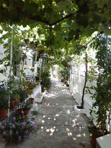 Apartamento Angela Studios Kassiopi