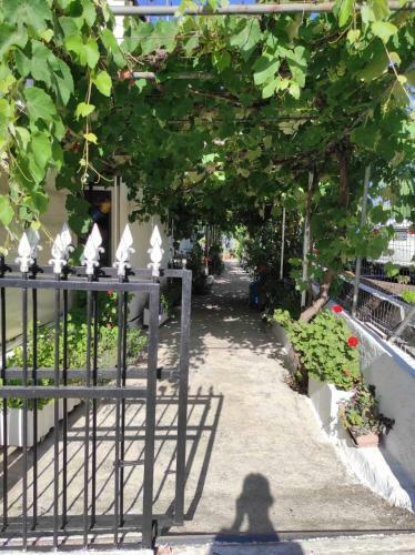 Apartamento Angela Studios Kassiopi
