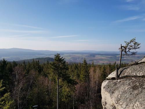 Hostal Landgasthof Gr�ner Baum