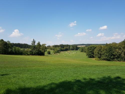 Hostal Landgasthof Gr�ner Baum