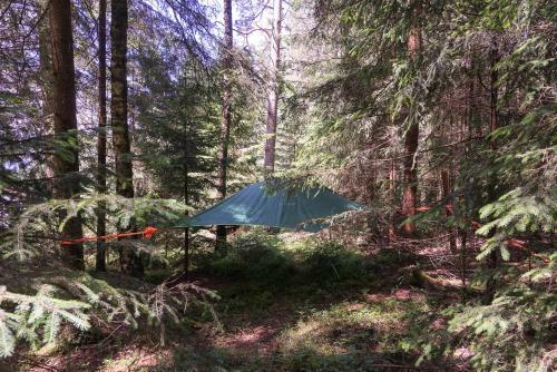 Bed & Breakfast Baumzelt Im Wald