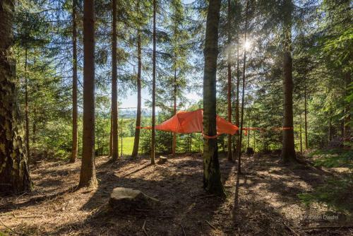 Baumzelt Am Waldesrand